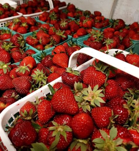 Baskets full of strawberries