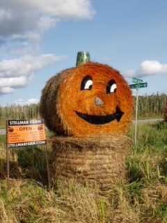 Pumpkin made of hay at Stellmar Farm