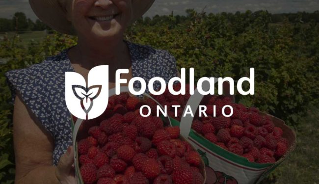 A woman holding two baskets of strawberries. The Foodland Ontario logo is displayed on top of the image.