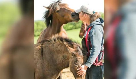 A woman gives a horse a kiss while petting another horse
