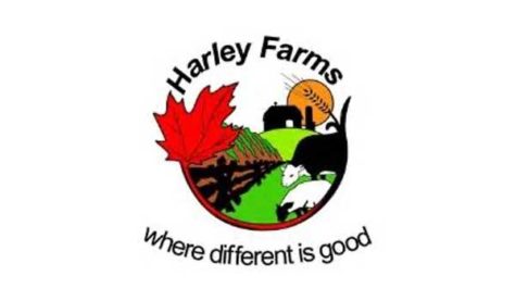 Harley Farms logo. Caption reads "Where different is good"