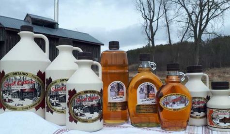Collection of maple syrup products
