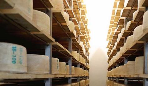 A room filled with shelves of cheese