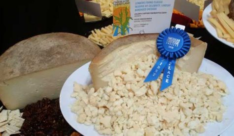 A collection of cheese with a blue ribbon that says "First Place"
