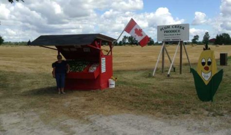 A red booth with corn. A sign behind it reads "Plum Creek Produce". A wooden cut-out of a smiling cob-of-corn stands in the foreground.