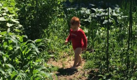 A child walks in a green space