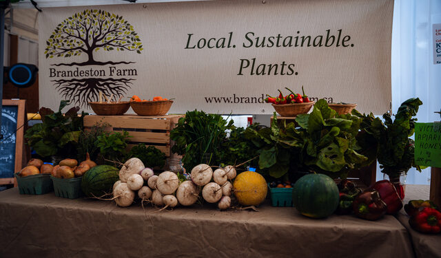 Table loaded with a variety of fresh produce