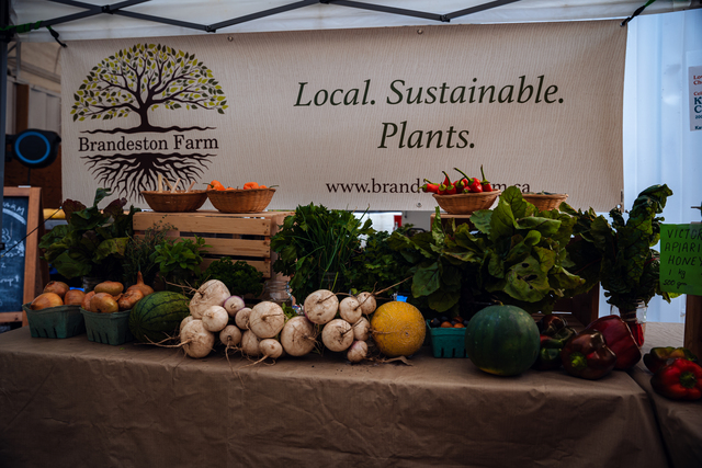 Table loaded with a variety of fresh produce