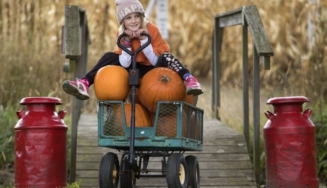 girl wagon pumpkins