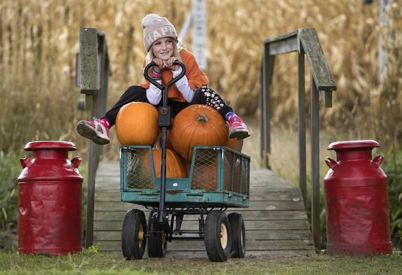 girl wagon pumpkins