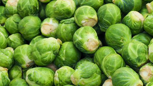 Brussel Sprouts