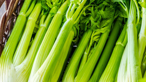 Celery