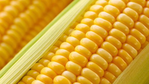Corn