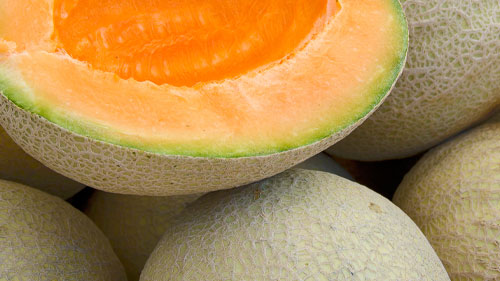 Muskmelon