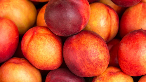 Nectarines