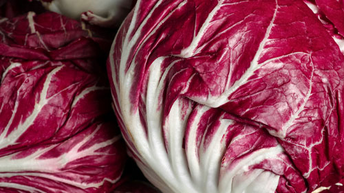 radicchio