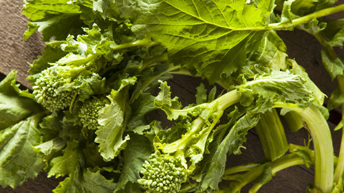 Rapini