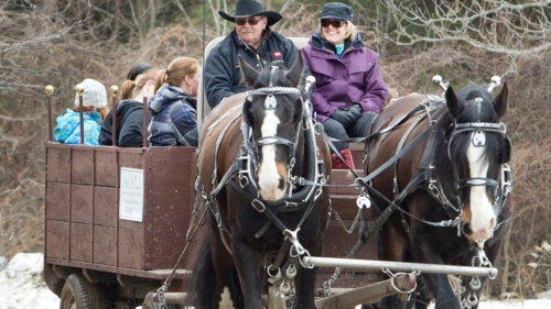 Team of horses pulling a wagon of people