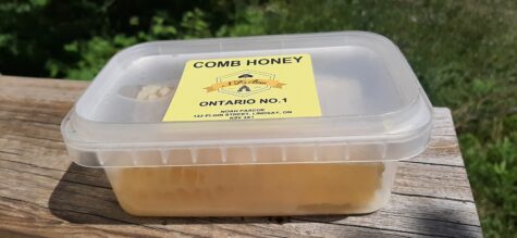 Honeycomb in a closed container on top of a wood table outside.